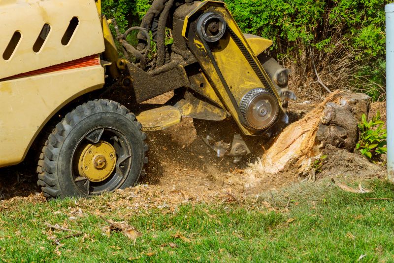 Stump Removal Process