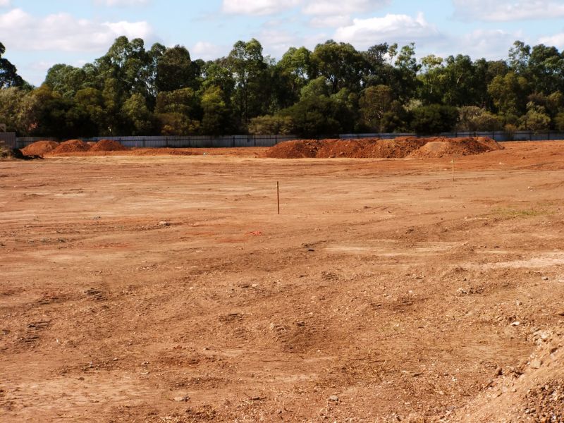 Clear and Level Land