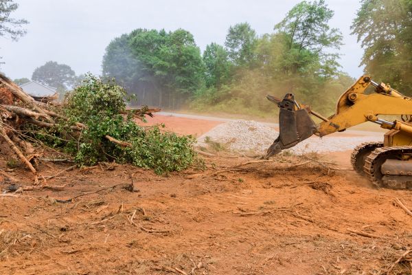 Forestry Mulching Service in Crystal River