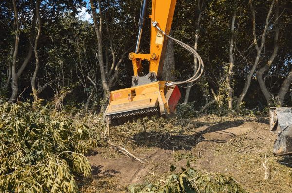 Brush Removal Service in Crystal River