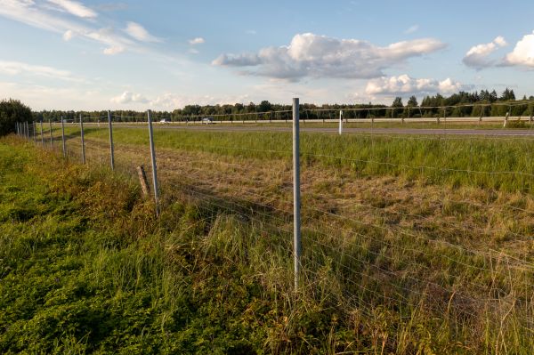 Property Line Clearing in Crystal River
