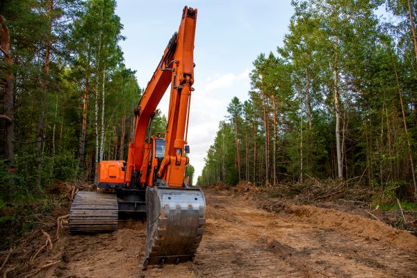 Backhoe Land Clearing in Crystal River