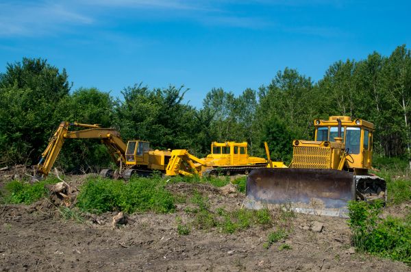 Bulldozer Clearing in Crystal River