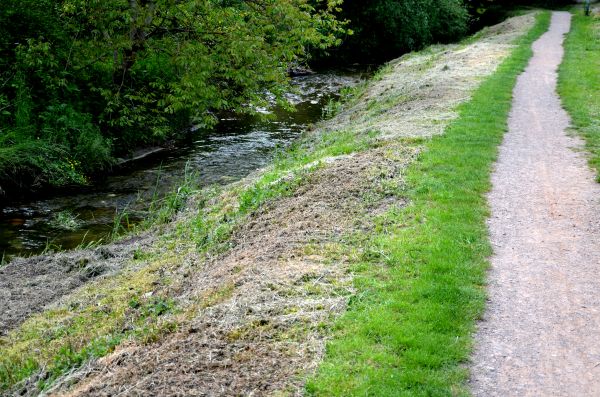 Trail Cutting in Crystal River